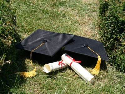 k p govt plans to set up three universities