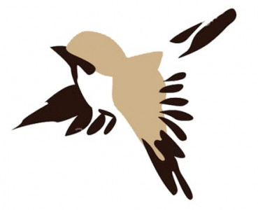 birds of a feather migrate together karachi s native sparrows have flown the coop