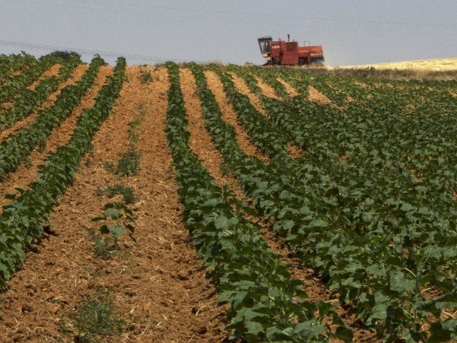 agricultural land photo reuters agricultural land photo reuters