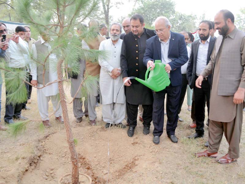 senator mushahidullah waters a tree after planting it on embassy road photo online