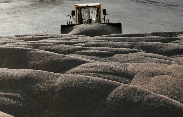 file photo a driver operates a tractor to pile wheat grains at the drying house of the solgonskoye farming company near the village of talniki southwest of the siberian city of krasnoyarsk russia august 28 2016 photo reuters