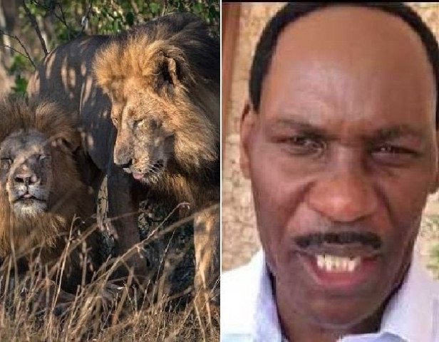 the two male lions at the masai mara and dr ezekiel mutua photo courtesy nairobi times youtube the two male lions at the masai mara and dr ezekiel mutua photo courtesy nairobi times youtube