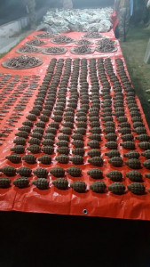 radd ul fasaad explosives seized in operation near dera murad jamali radd ul fasaad explosives seized in operation near dera murad jamali