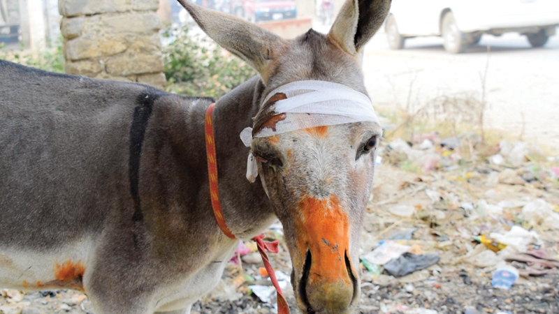 the damaged qingqi which was involved in an accident with a donkey cart in police impound photos express