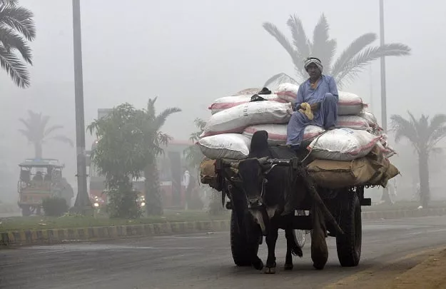 smog in punjab photo afp smog in punjab photo afp