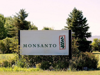 monsanto challenged in brazil monsanto challenged in brazil