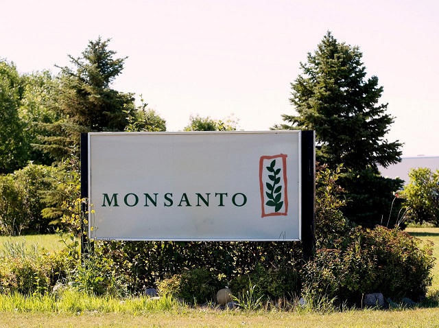 file photo monsanto 039 s research farm is pictured near carman manitoba canada on august 3 2017 photo reuters