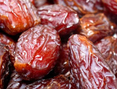 balochistan icci chief calls for date processing plants