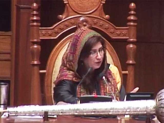 shehla raza photo file