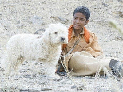 saawan wins big at 11th annual alexandria film festival