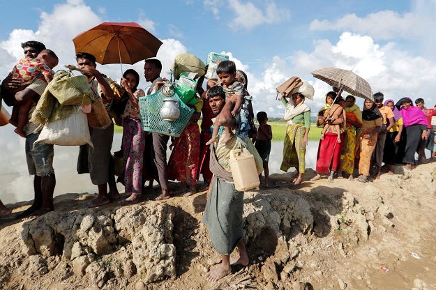 rohingya refugees who arrived from myanmar last night walk in a rice field after crossing the border in palang khali bangladesh october 9 2017 photo reuters