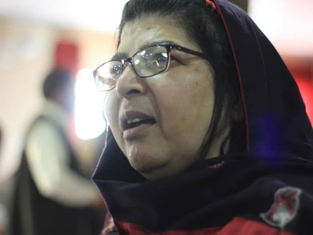 anisa zeb tahirkheli photo file anisa zeb tahirkheli photo file
