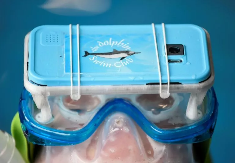 a dutch non profit has developed virtual reality glasses to enable the disabled to feel close to dolphins for therapeutic purposes photo afp a dutch non profit has developed virtual reality glasses to enable the disabled to feel close to dolphins for therapeutic purposes photo afp