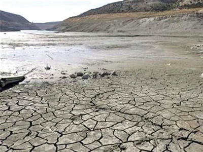 is redd mechanism enough to fight climate change is redd mechanism enough to fight climate change