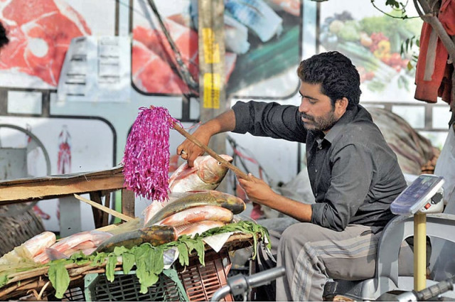 a vendor cleaning fish at his shop in the capital photo app a vendor cleaning fish at his shop in the capital photo app