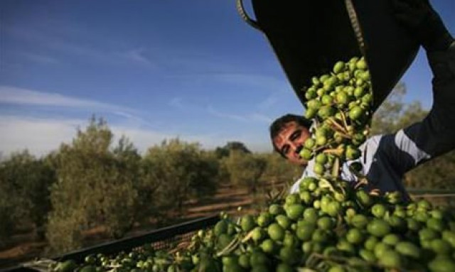 photo reuters photo reuters