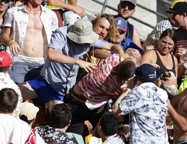 the fight occurred as australia began their first innings with the bat after england posted 302 runs photo dailymail the fight occurred as australia began their first innings with the bat after england posted 302 runs photo dailymail