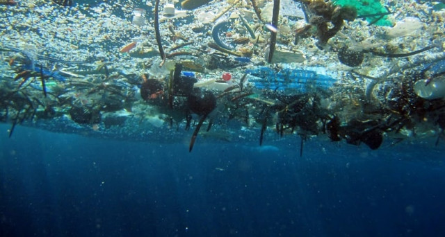 pieces of plastic float here in ocean water plastic can kill many kinds of marine life photo noaa pieces of plastic float here in ocean water plastic can kill many kinds of marine life photo noaa