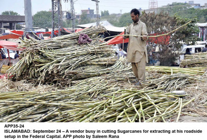 federal govt responsible for delay in sugarcane crushing alleges cm