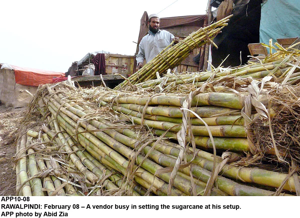 according to the sindh sugar factories control act the cane crushing season begins from mid october and lasts until mid june photo app according to the sindh sugar factories control act the cane crushing season begins from mid october and lasts until mid june photo app
