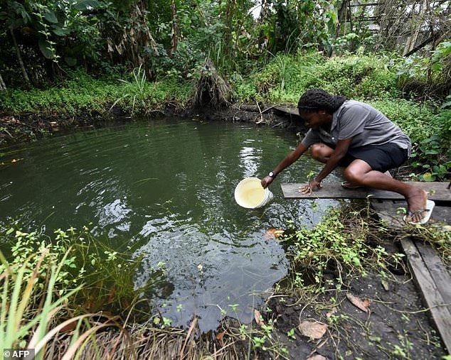 hundreds of protesters from the kula and belema communities in nigeria 039 s restive southern rivers state have occupied the shell plant since august 11 photo afp