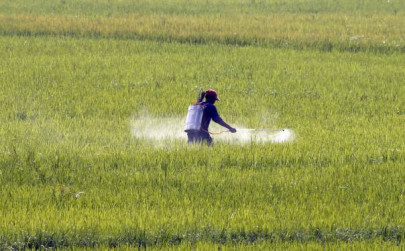study reveals use of toxic pesticides across punjab study reveals use of toxic pesticides across punjab