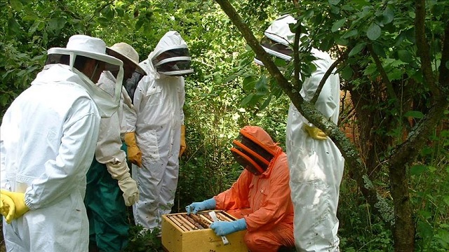 tika also helped beekeepers in other countries including kenya palestine and bosnia photo anadolu post