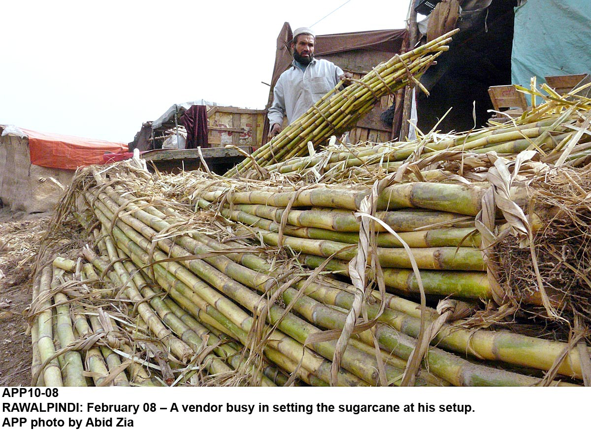 according to the sindh sugar factories control act the cane crushing season begins from mid october and lasts until mid june photo app