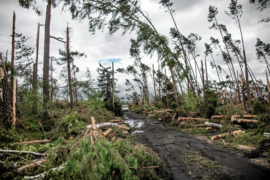 broken trees are seen after a powerful storm hits sri lanka photo reuters