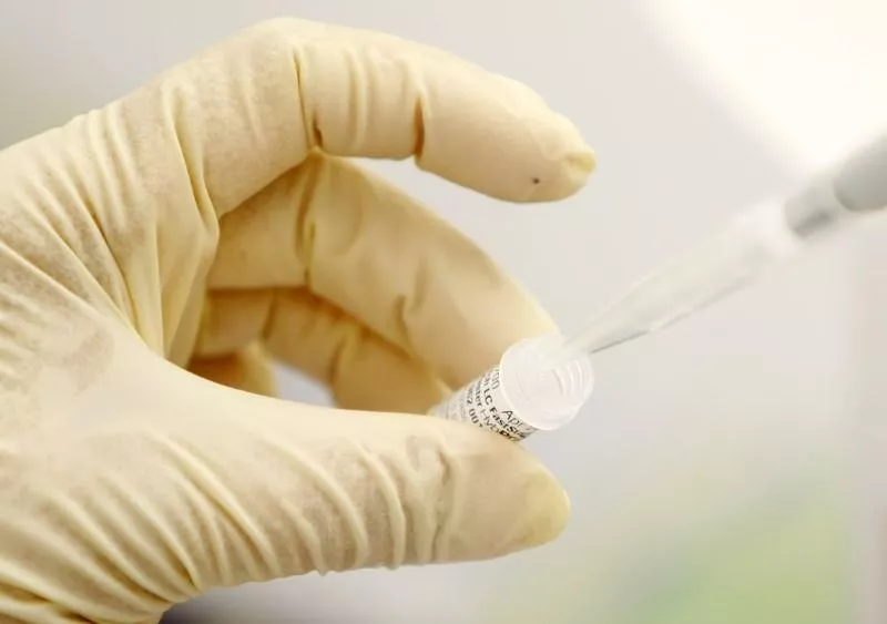 a scientist does research in a lab in san diego california photo reuters a scientist does research in a lab in san diego california photo reuters