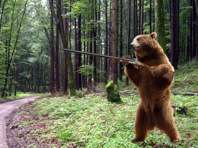wild beast steals weapons from frightened hunter before vanishing photo courtesy news 365 wild beast steals weapons from frightened hunter before vanishing photo courtesy news 365