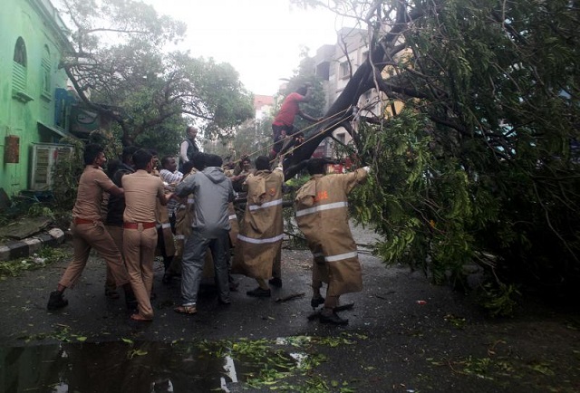 policemen remove a tree that fell on a road after it was uprooted by strong winds in chennai india december 12 2016 photo reuters