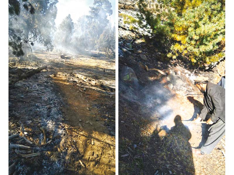 locals use branches and sand to put out the fire near jaglote photo express