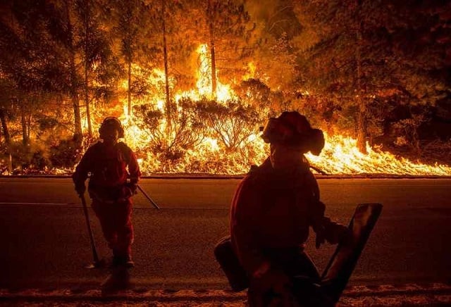 file photo firefighters battling the king fire watch as a backfire burns along highway 50 in fresh pond california in this september 16 2014 file photo photo reuters