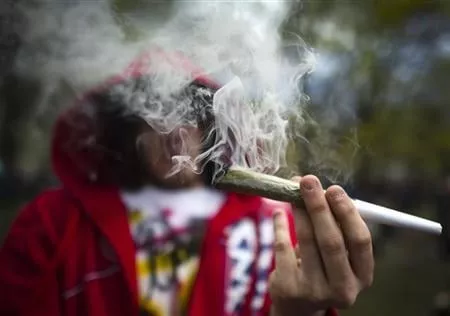 a man smokes a large joint before the global marijuana march in toronto photo quot reuters a man smokes a large joint before the global marijuana march in toronto photo quot reuters