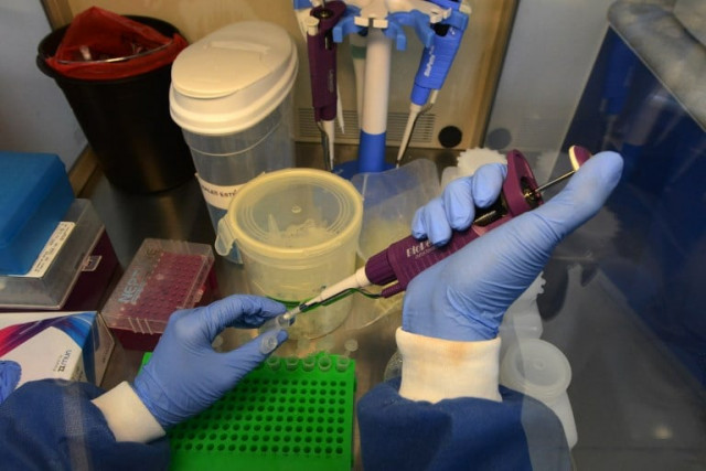 a doctor performs laboratory tests in the genetic research center of the national autonomous university of honduras unah microbiology research institute in tegucigalpa photo afp