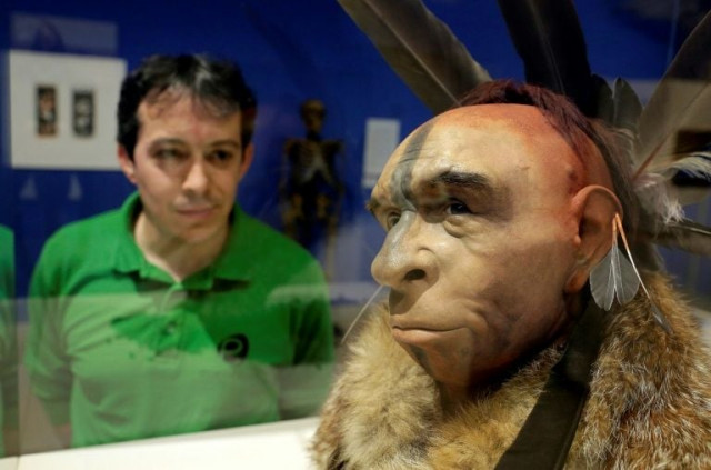 a visitor looks at quot el neandertal emplumado quot a scientifically based impression of the face of a neanderthal who lived about 50 000 years ago scientists estimate that among non africans today one to four per cent of the dna comes from neanderthals photo afp a visitor looks at quot el neandertal emplumado quot a scientifically based impression of the face of a neanderthal who lived about 50 000 years ago scientists estimate that among non africans today one to four per cent of the dna comes from neanderthals photo afp