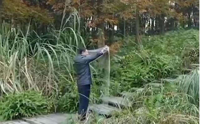the video shows the man turning the cloth over as he stands in the middle of a bush he opens the cloth and disappears in front of the camera youtube screen grab the video shows the man turning the cloth over as he stands in the middle of a bush he opens the cloth and disappears in front of the camera youtube screen grab