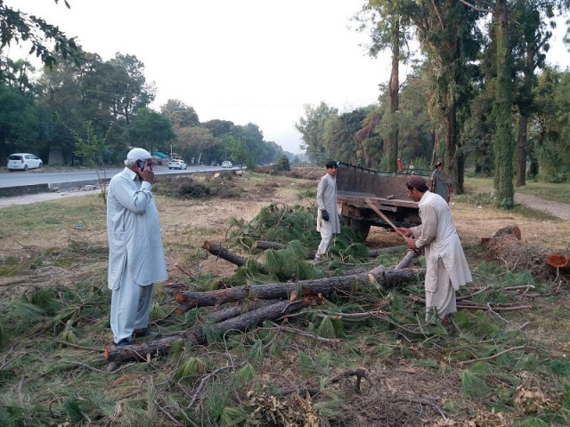 a worker uses an axe to cut wood into logs along attaturk avenue near the prime minister s office in islamabad where hundreds of trees have been cut to make way for expansion of the roadway photo reuters a worker uses an axe to cut wood into logs along attaturk avenue near the prime minister s office in islamabad where hundreds of trees have been cut to make way for expansion of the roadway photo reuters