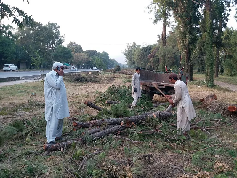 a worker uses an axe to cut wood into logs along attaturk avenue near the prime minister s office in islamabad where hundreds of trees have been cut to make way for expansion of the roadway photo reuters a worker uses an axe to cut wood into logs along attaturk avenue near the prime minister s office in islamabad where hundreds of trees have been cut to make way for expansion of the roadway photo reuters