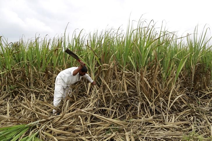 representational image photo reuters