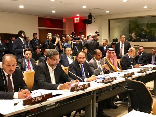 pm speaking at the oic contact group meeting on rohingyas photo courtesy maleeha lodhi