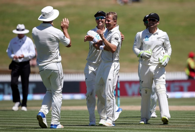 neil wagner c of new zealand celebrates the wicket of the west indies 039 roston chase during day four of the second test cricket match between new zealand and the west indies at seddon park in hamilton on december 12 2017 photo afp