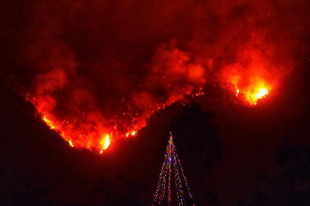 with thomas wildfire flames burning behind it a christmas tree stands as a lone sentinel in the front yard of an evacuated home in this social media photo by santa barbara county fire department in carpinteria california u s on december 11 2017 photo via reuters