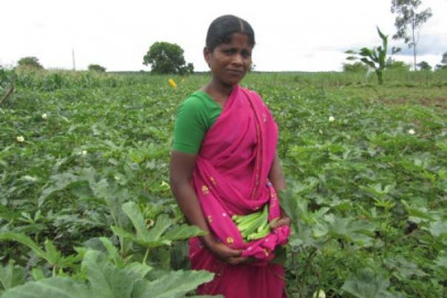 bangladesh arrests cleric over fatwa against women farming bangladesh arrests cleric over fatwa against women farming