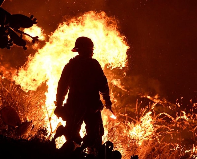 file photo firefighters battle a santa ana wind driven brush fire called the thomas fire near ventura photo reuters