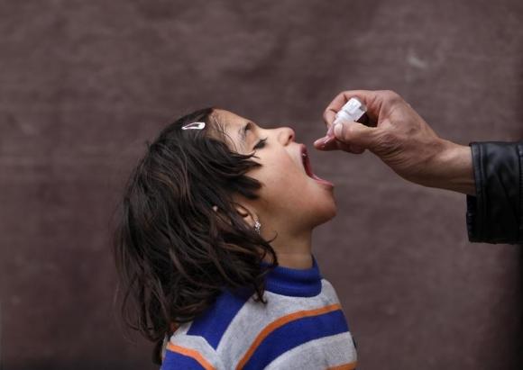 a child receives polio vaccination drops photo reuters