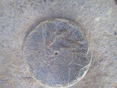 security forces foil terror bid in balochistan security forces foil terror bid in balochistan