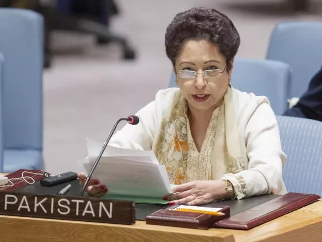 maleeha lodhi says the us move further destabilises an already volatile and violent situation in the region photo file maleeha lodhi says the us move further destabilises an already volatile and violent situation in the region photo file