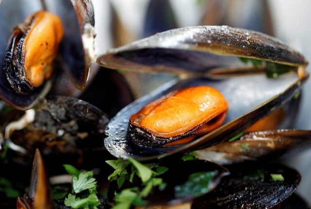 file photo mussels in white wine and tomato sauce are seen on plate at a restaurant in warsaw september 8 2012 photo reuters